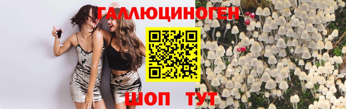 Кольчугино  Псилоцибиновые грибы мицелий  Вход с VPN  Галлюциногенные грибы прущие грибы 